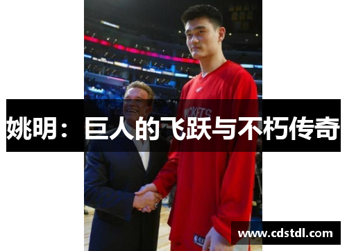 姚明：巨人的飞跃与不朽传奇