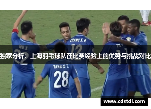 独家分析：上海羽毛球队在比赛经验上的优势与挑战对比