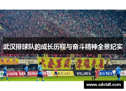 武汉排球队的成长历程与奋斗精神全景纪实